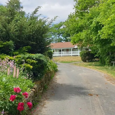Chalet Aster Pour 12 Prix Weekend
